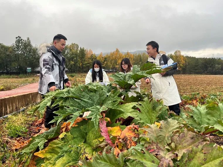 ‘绝知此事要躬行’——医学院药学行业实践、中药学行业实践活动顺利完成 第 5 张