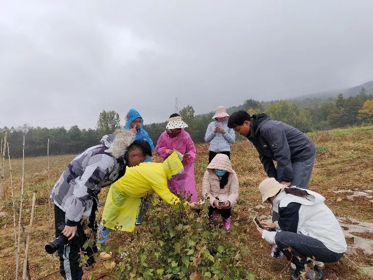 ‘绝知此事要躬行’——医学院药学行业实践、中药学行业实践活动顺利完成 第 6 张